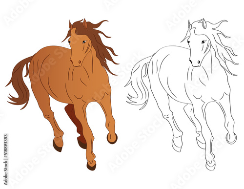 hand-drawn illustration of a running horse