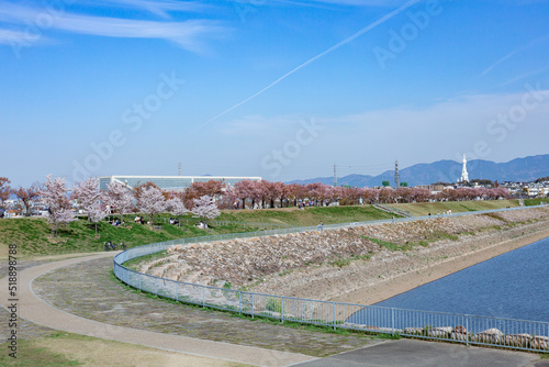 大阪府狭山池公園の春の風景