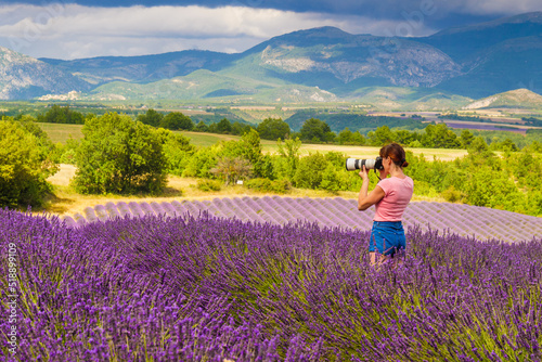 Fototapeta Naklejka Na Ścianę i Meble -  Woman take photo on lavender field, Provence France