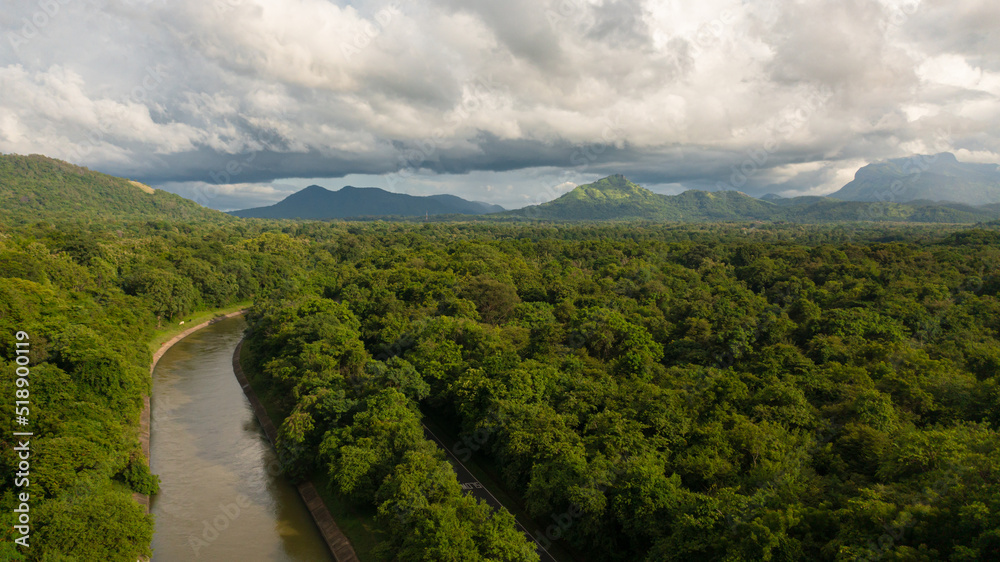 Aerial view of rainforest and jungle. Sri Lanka.