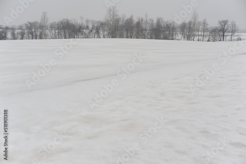 Wallpaper Mural A snowy black and white and grey rural landscape with fields covered with snow in Hokkaido, northern Japan, Asia Torontodigital.ca