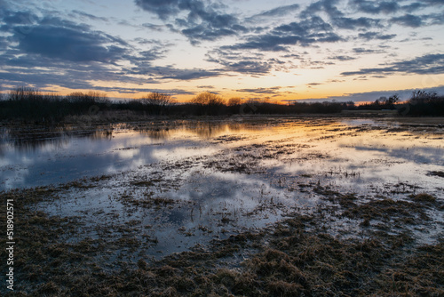 Water in the meadow and sky after sunset