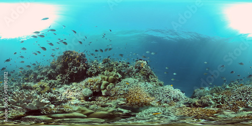 Coral reef underwater with fishes and marine life. Coral reef and tropical fish. Philippines. Virtual Reality 360. © Alex Traveler