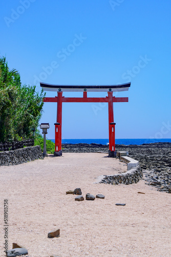 日南海岸に浮かぶ青島神社（宮崎県宮崎市） photo