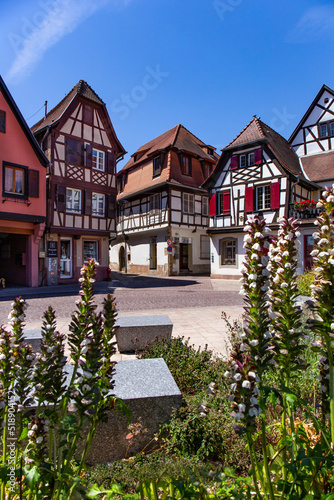 Obernai, Alsace et ses maisons à colombages.