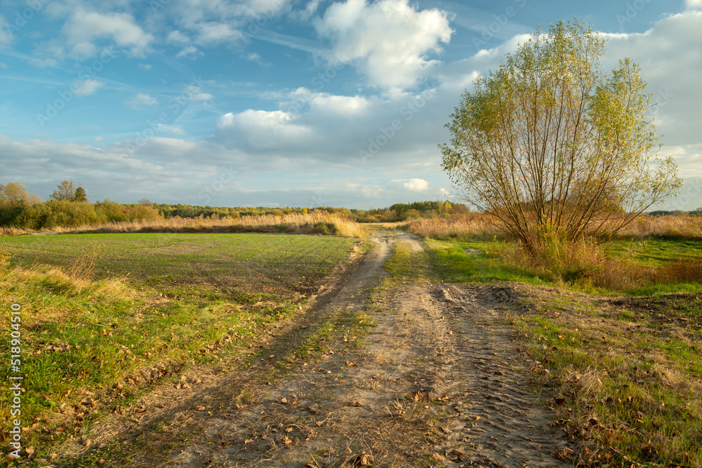 Rural road through rural areas