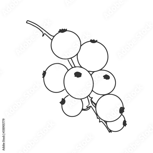 Black and white illustration of currant berries on a white background. Doodle style. Cartoon style