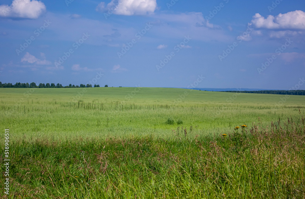 Expanses of Bashkir fields and bales of hay. July 2022
Просторы башкирских полей и тюки с сеном. Июль 2022 год. 
