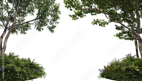 Tree on a white background © jomphon