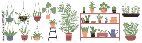 Green plants in pots set vector illustration. Cartoon flowerpots hanging in planter macrame on wall, cute houseplants growing on shelf or table, home garden decor collection isolated on white