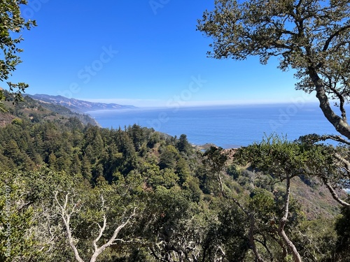 Nepenthe Big Sur Highway 1 Coastline California USA