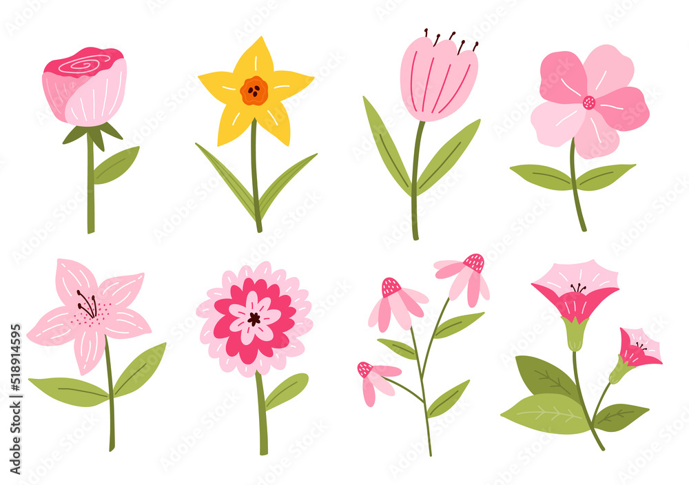 Set of different cute flowers isolated on white background. Vector illustration in hand-drawn flat style. Perfect for cards, logo, decorations, spring and summer designs. Botanical clipart.