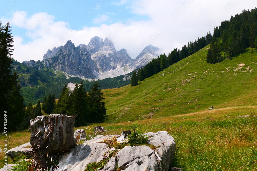 Fototapeta premium Salzburger Almen Landschaft