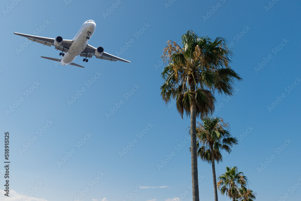 Fototapeta premium 旅、ヤシの木越しの青空を着陸態勢に入る飛行機