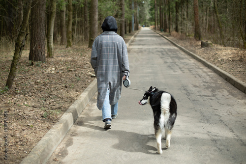 Girl with husky dog. Girl walks pet in park. Dog on leash.