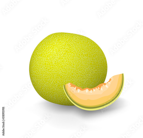 Yellow melon. Green honeydew cantaloupe fruit. Galia sweet melon slice cut. Vector graphic illustration. Isolated on white background stock image organic fresh summer fruit vitamin
