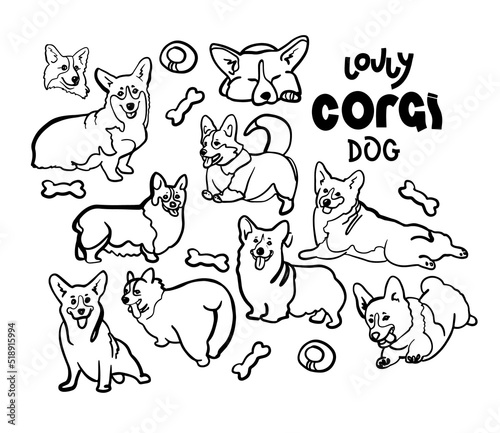 Cute corgi dog doodle. Collection in different poses in free hand drawing illustration style.