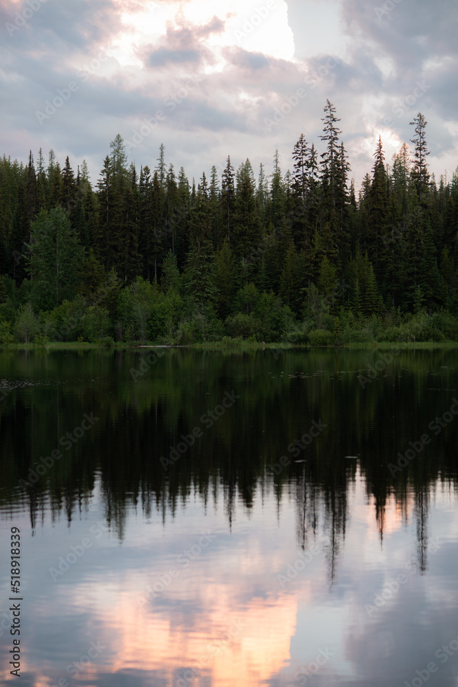 Background Image of Forest Reflected in Mountain Lake