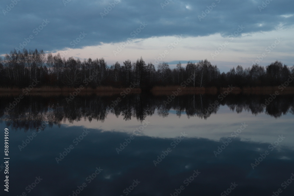 lake in the forest