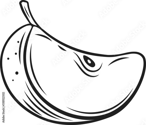 Apple slice with seeds line icon vector illustration. Hand drawn fruit cut in quarter with stem, fresh food ingredient for recipe of apple pie, juice or morning dessert, outline organic pieces