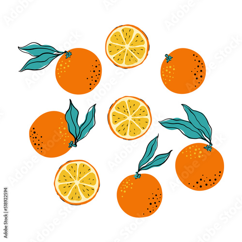 Tropical set of oranges and circle orange slices. Hand drawn citrus orange with leaves isolated on white background. for fabric, drawing labels, print, wallpaper of children's room, fruit background
