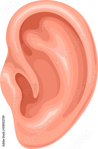 Human ear vector illustration. Cartoon isolated organ with pinna and ear canal for listening sound, music and communication, healthy body part to study anatomy and medicine, five human senses