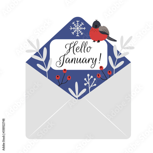 Opened envelope with hand drawn red Bullfinch and winter plants and card - Hello January. Isolated vector template illustration in flat style