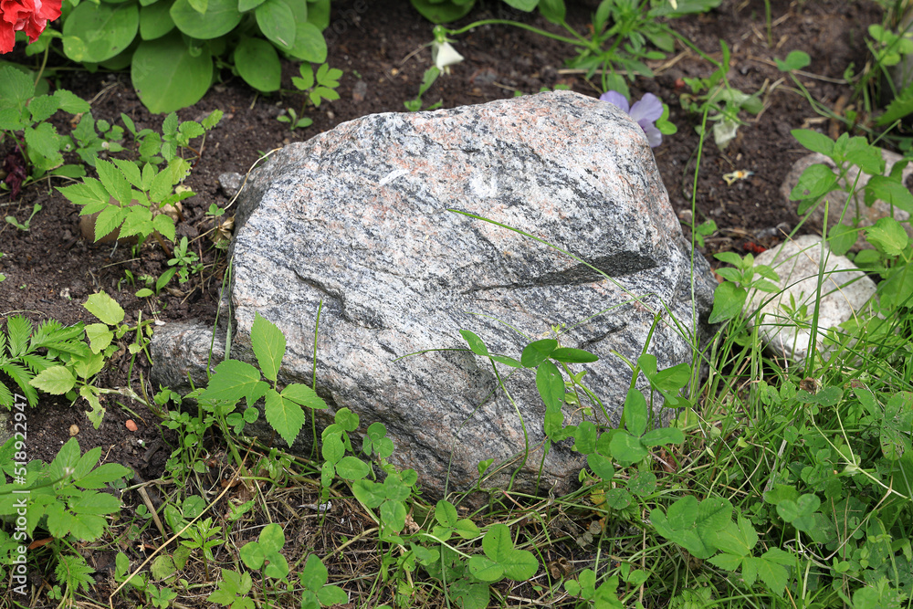 Obraz premium Stone lies in the grass in the garden