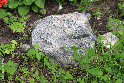 Stone lies in the grass in the garden