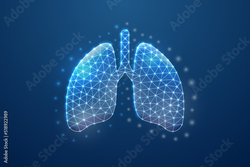 Lungs 3d symbol in blue low poly style. Respiratory system, human transplantation design concept illustration. Organ anatomy polygonal wireframe.