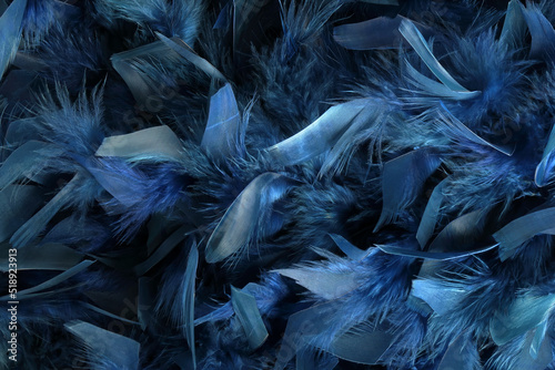 Blue feathers surface. Background image