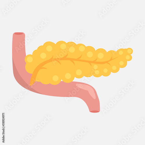 Pancreatic icon on a white background. Isolated pancreas in pink and yellow tones. The viscera of a man. Vector eps illustration.