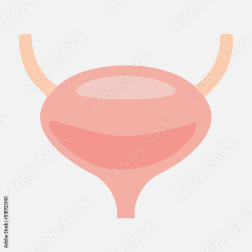 Bladder icon on a white background. The bladder is isolated in pink and yellow tones. The viscera of a man. Vector eps illustration.