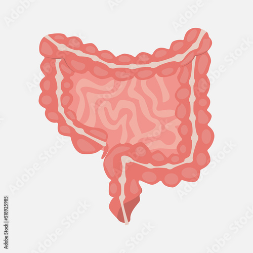 Stomach icon on a white background. The stomach is isolated in pink and yellow tones. The viscera of a man. Vector eps illustration.