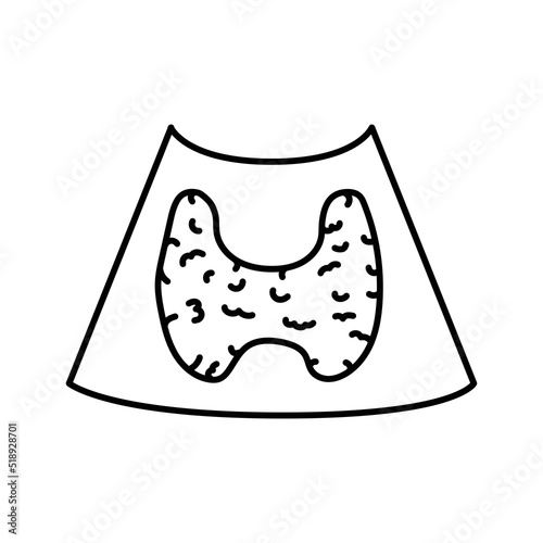 Ultrasound thyroid gland color line illustration