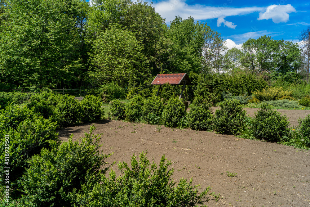 There are low green bushes growing around the plot of land There are low green bushes growing around the plot of land