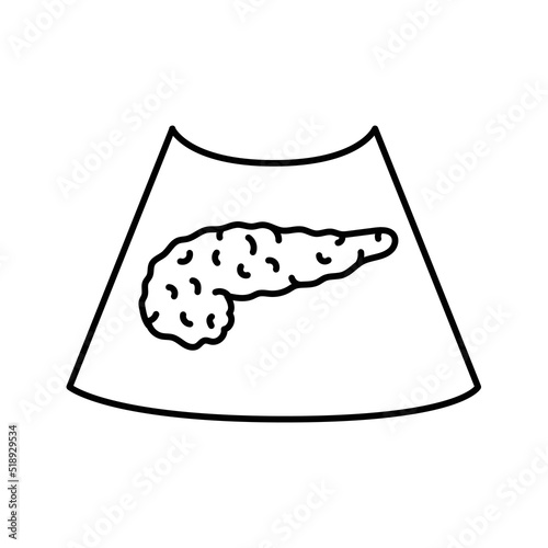 Ultrasound pancreas color line illustration