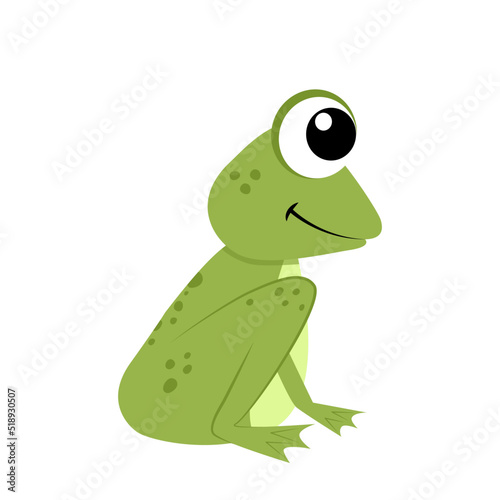 Frog. Funny frog in half face. Flat  cartoon  vector
