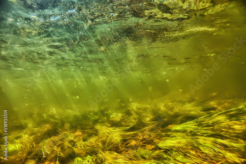 underwater fresh water green background with sun rays under  water