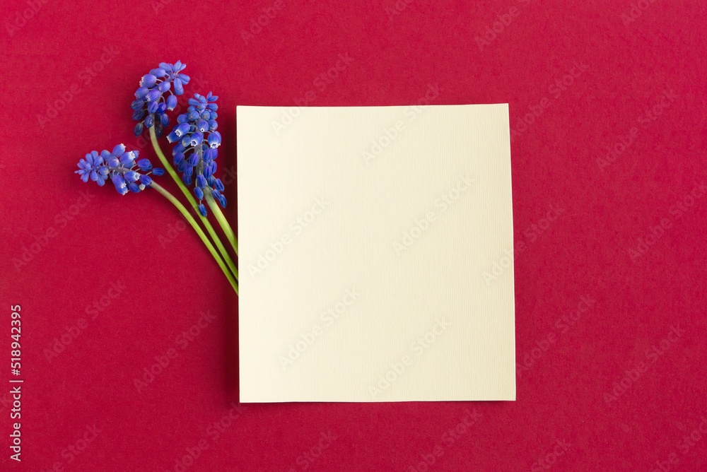 Three branches bloom small purple bluebell flowers on a plain red background. Pastel colored square area for text. Three branches bloom small purple bluebell flowers on a plain red background. Pastel colored square area for text.
