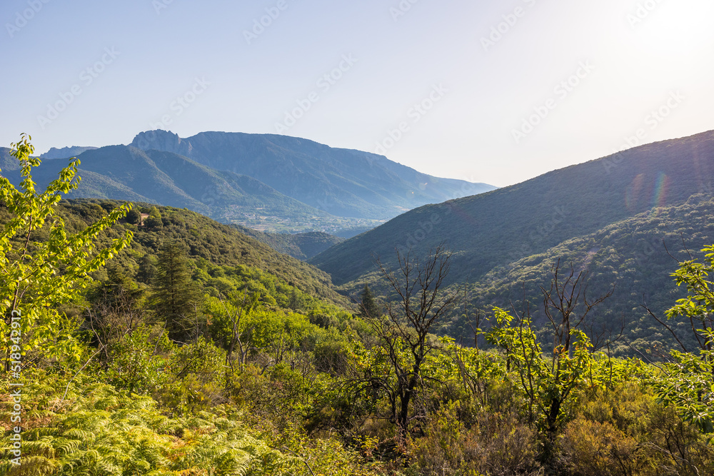 Forêt et montagnes autour du village d'Olargues dans le Parc naturel régional du Haut-Languedoc