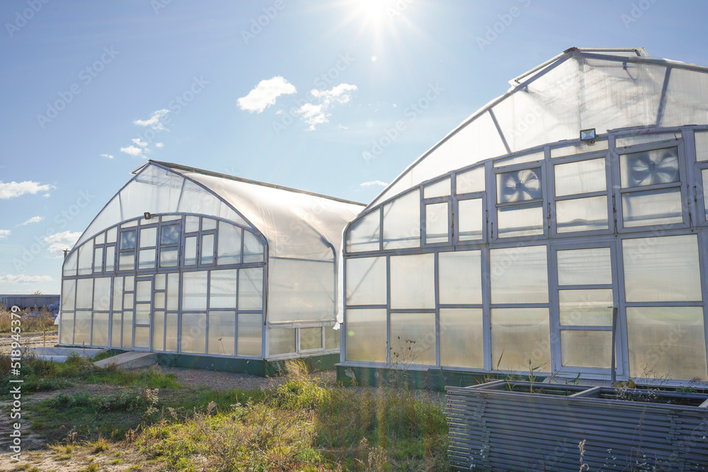 Greenhouse outside view. Agricultural eco farming and farming for growing vegetables and fruits. Greenhouses business concept.