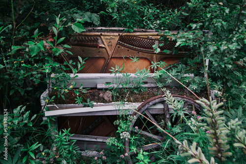 Lost abandoden piano in a forest