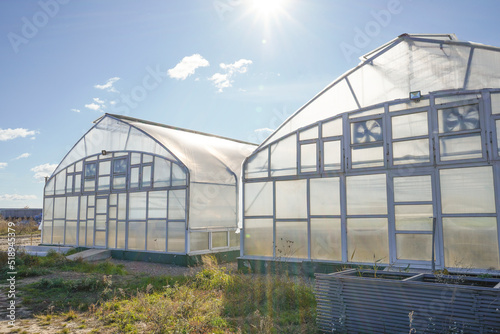 Greenhouse outside view. Agricultural eco farming and farming for growing vegetables and fruits. Greenhouses business concept.