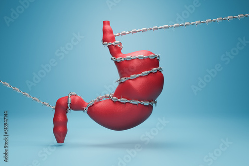 Stomach Pain concept. Human stomach with  barbed wire.  3D rendering photo
