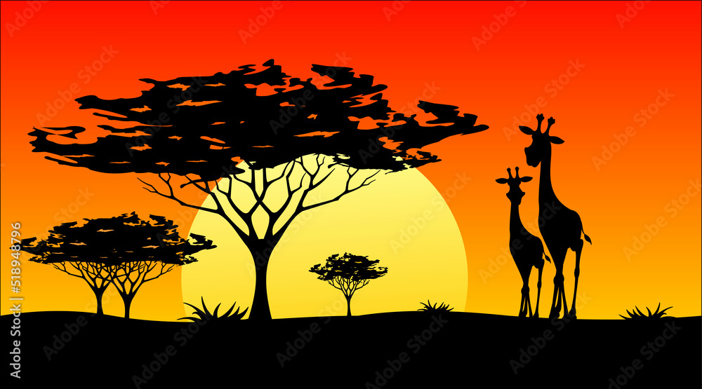 sunset in africa, savannah bathed in sunshine
