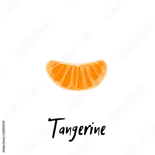 Illustration a slice tangerine isolated on a white background