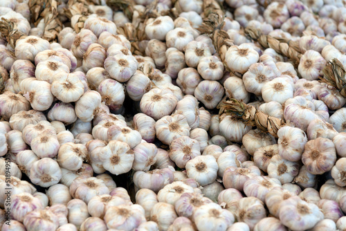 Knoblach auf einem Marktstand in Frankreich Provence