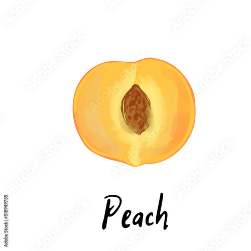 Illustration of a peach isolated on a white background