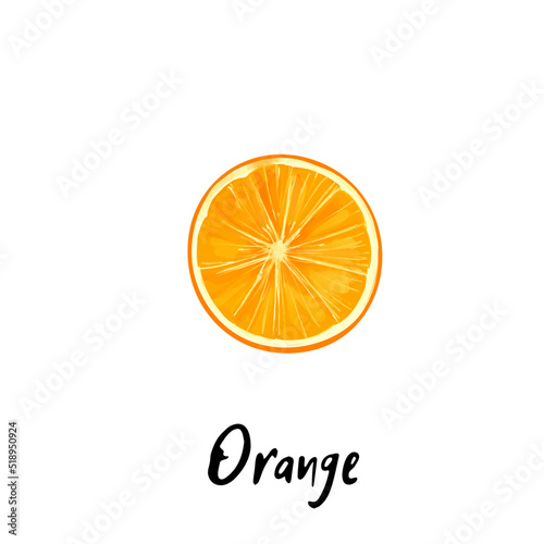 Illustration of a orange slice isolated on a white background